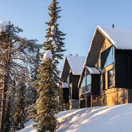 Apartment Alppisyoete Syote