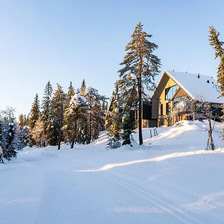 Huoneisto Alppisyöte